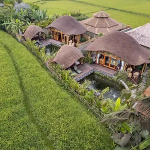 https://villa-arapan-ubud-eco.ubudhotelsnow.com